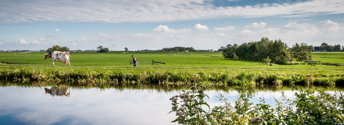 Provincie Flevoland werkt aan de toekomst