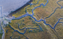 200.000 handtekeningen voor bescherming Europese wateren