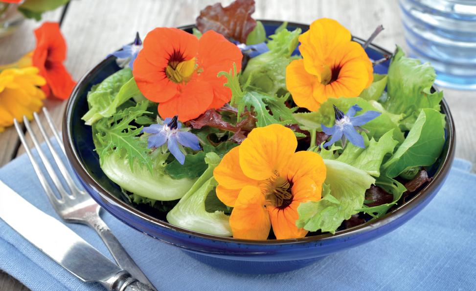 April: Kweek je eigen salade - in je tuin, op je balkon of om de hoek