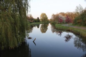 Doe mee! Bultpark in gedichten