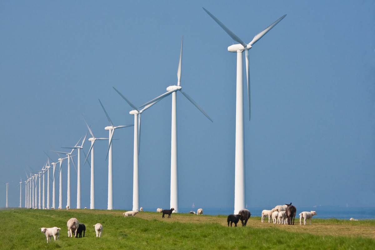 Almeerse Wind genereert voldoende investeerders 
