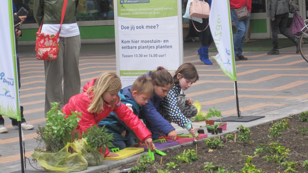 Eetbare plantjes planten