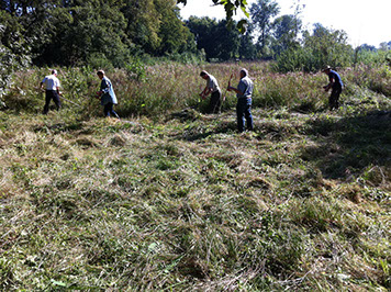 24 september Veldsymposium Dommelbimd