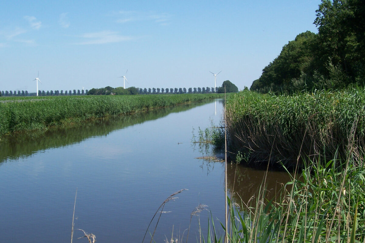 Akkerranden mogen aantrekkelijker voor planten en dier