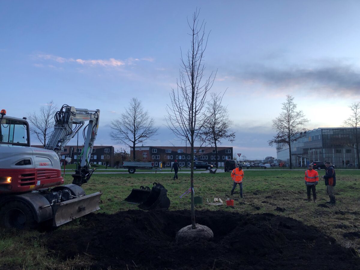 Lidorganisatie plant bomen uit NMFF Fonds Verbraaken