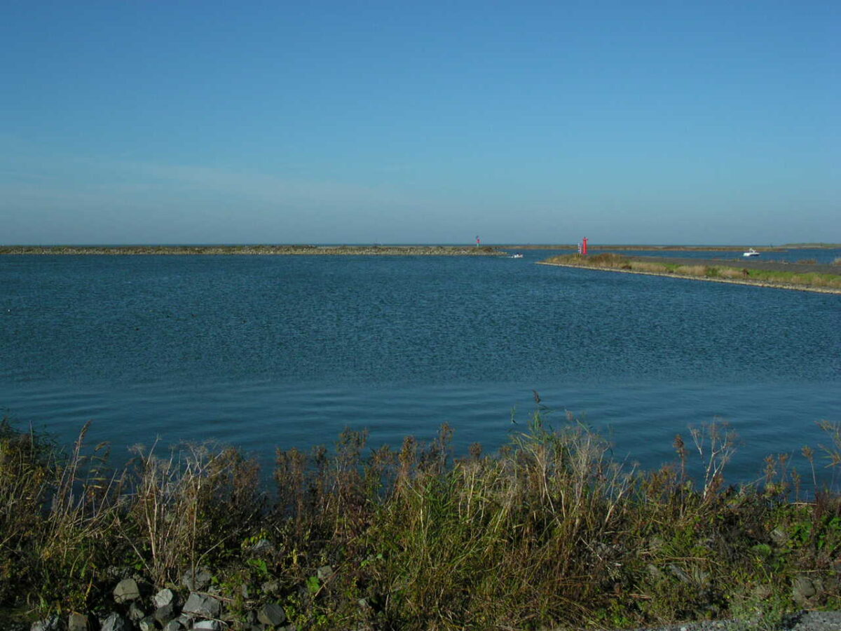 Milieuonderzoek onvolledig Waterfront Lelystad