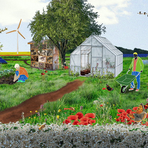 Energietuinen: duurzame energie en voedselproductie hand in hand?