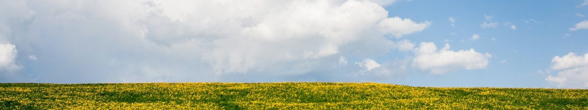 Almere Energie(k): Van Klimaatverlamming naar Gemeenschapskracht