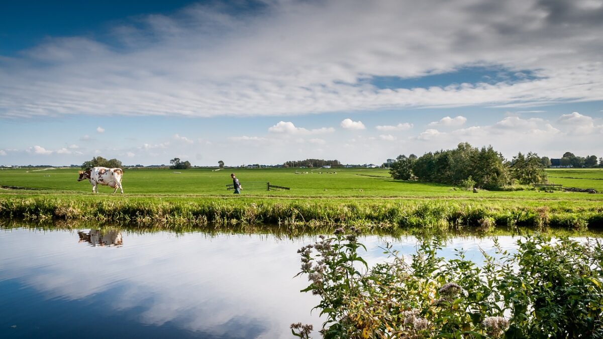Omgevingsvisie Flevoland