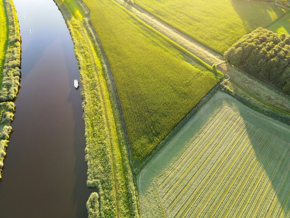 Duurzaamheid en biodiversiteit beter vastgelegd in de Omgevingsvisie van Flevoland