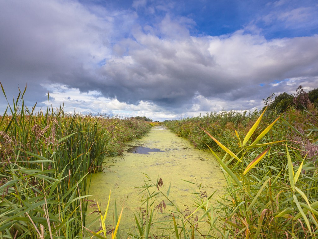 Tijd voor Groene Voornemens