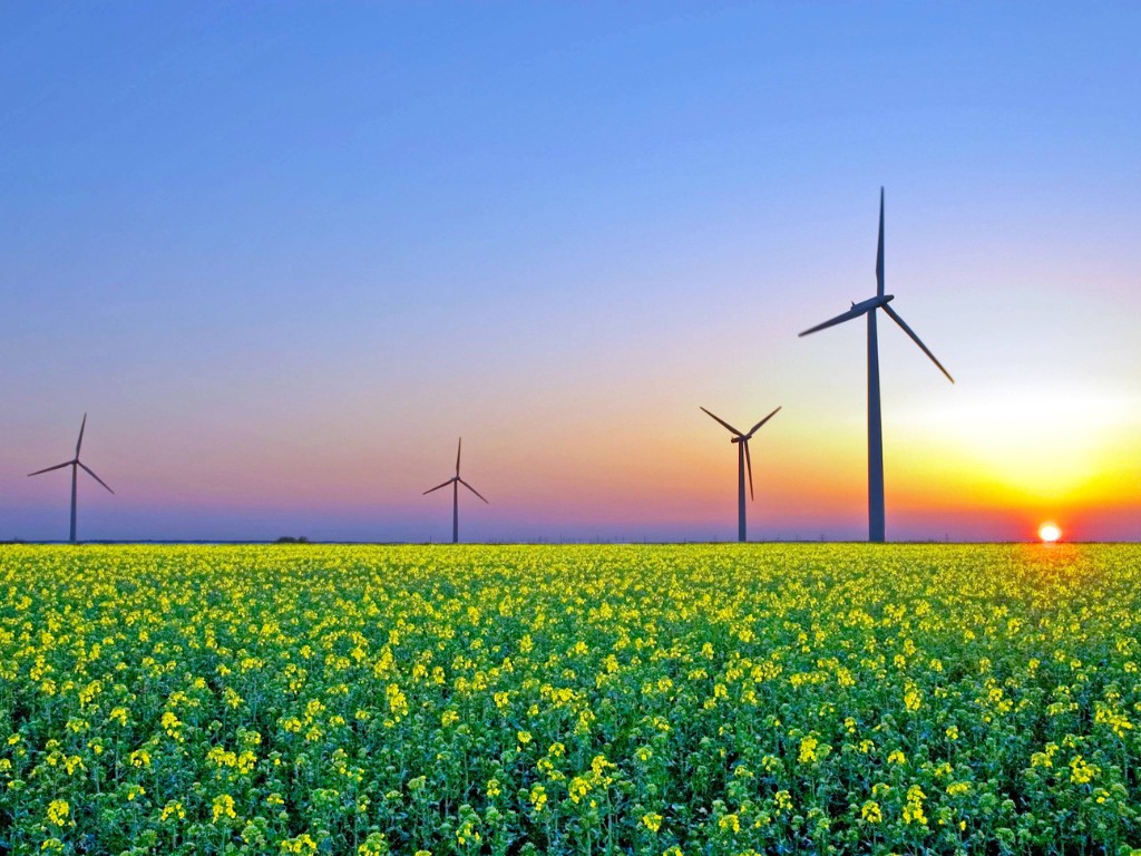 Vera blogt: lokale kracht als antwoord op grote uitdagingen