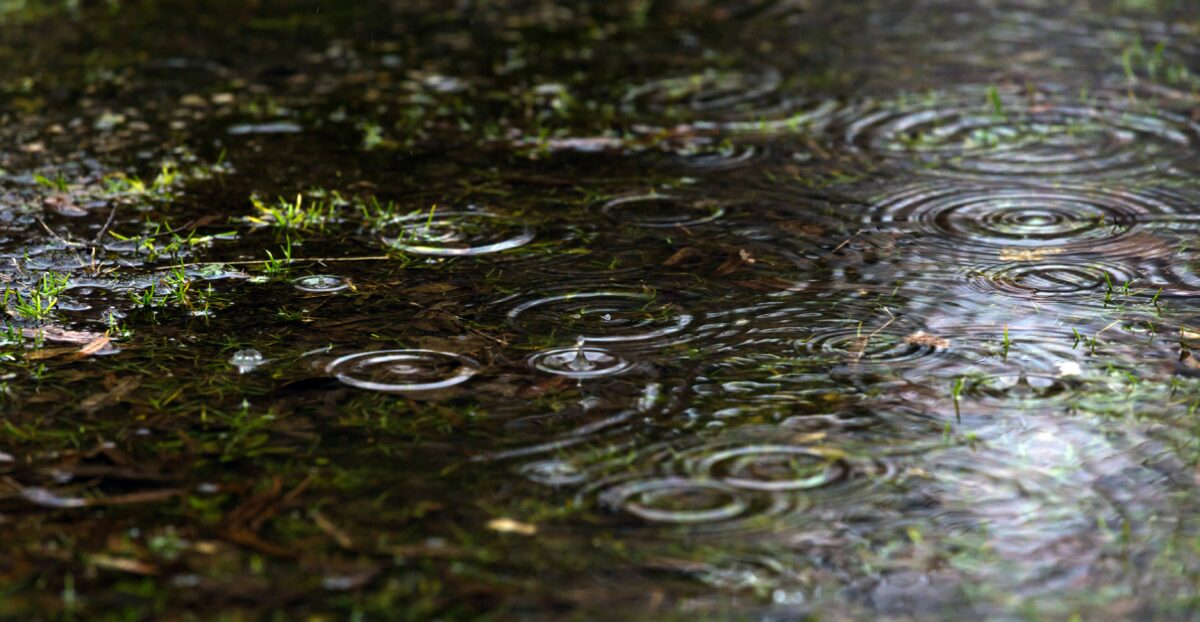 Workshop afkoppelen regenwater groot succes