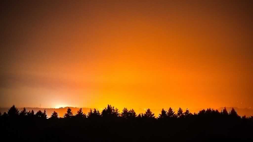 Word Nachtwachter in Flevoland