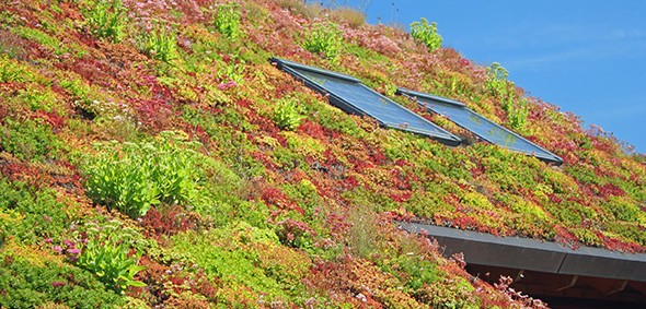 Project Toekomstbestendig bouwen