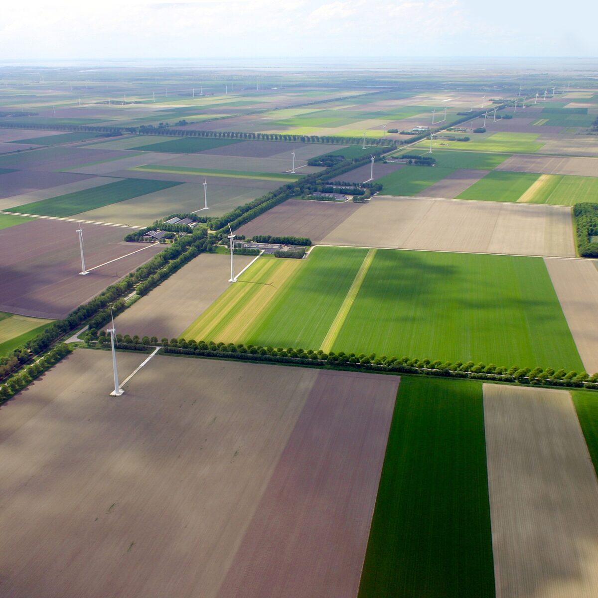 Nieuwe omgevingsvisie Flevoland ter inzage
