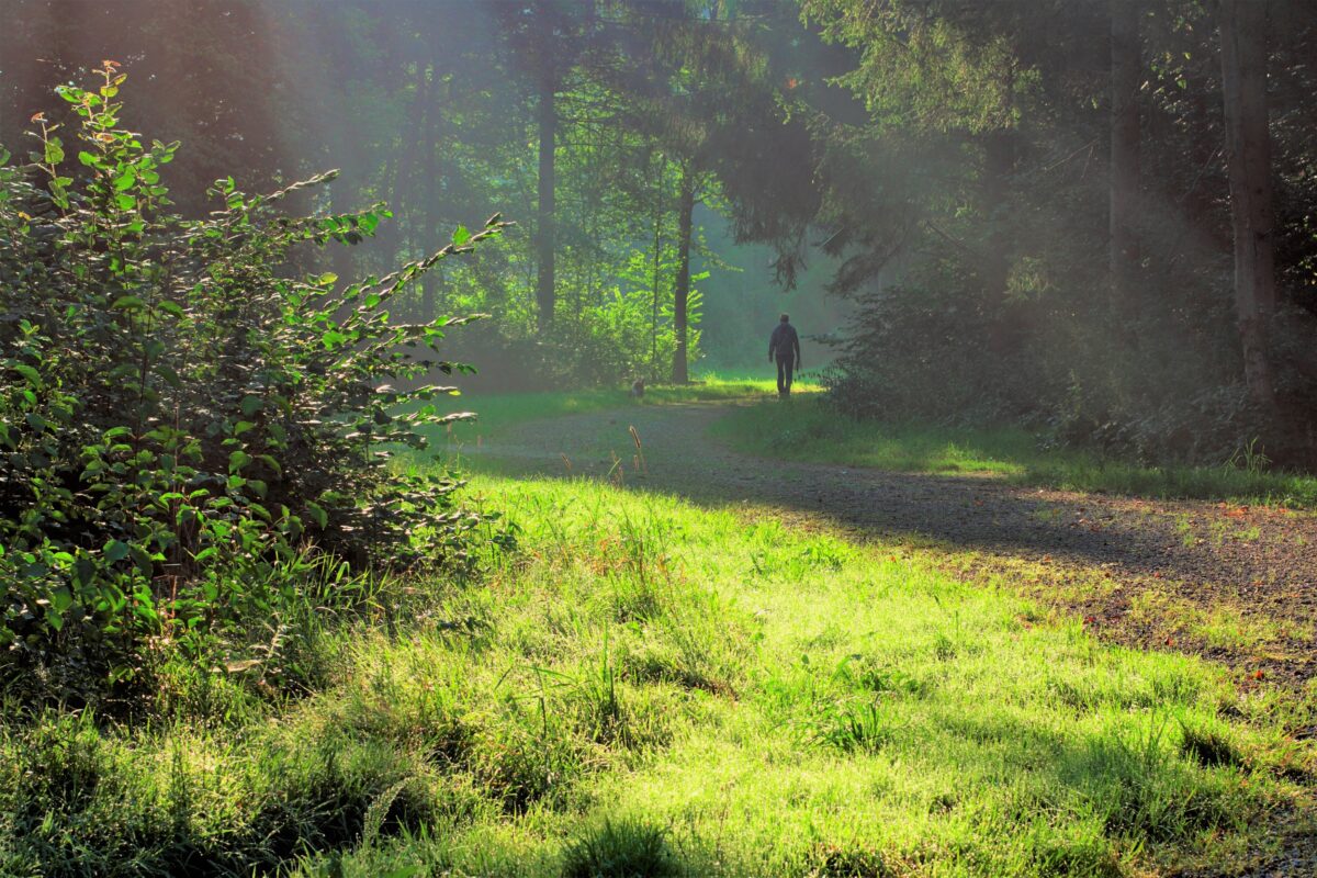 Vera blogt: bezoek de verkoelende natuur én geef gelijk iets terug